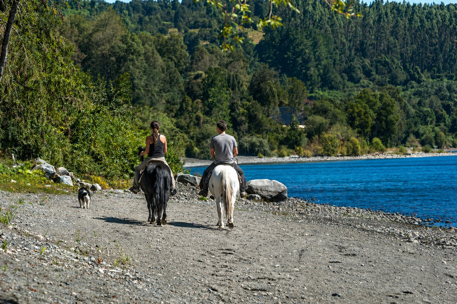 Cabalgata Vista Rupanco
