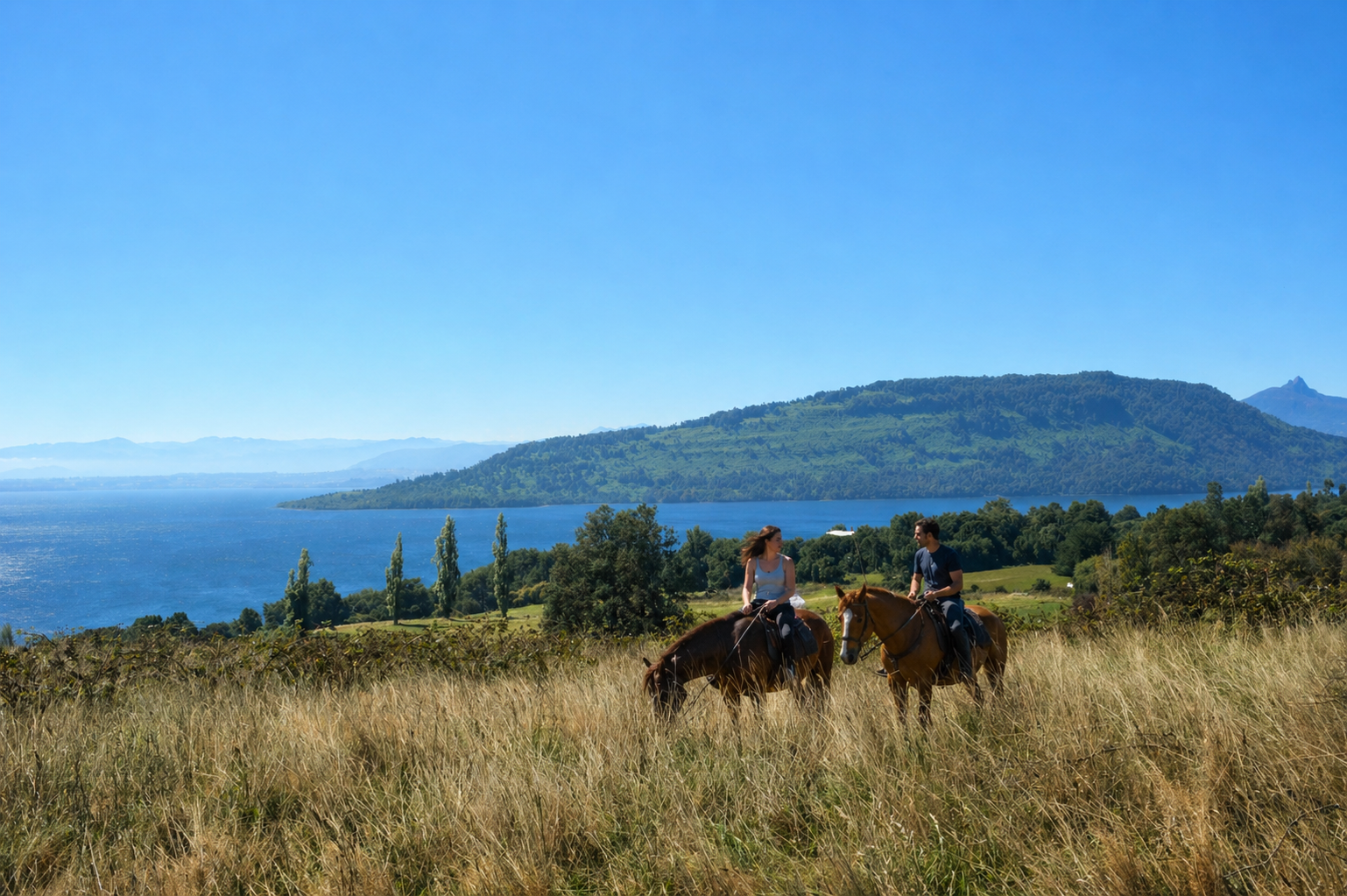 Cabalgata bosque Vista Rupanco