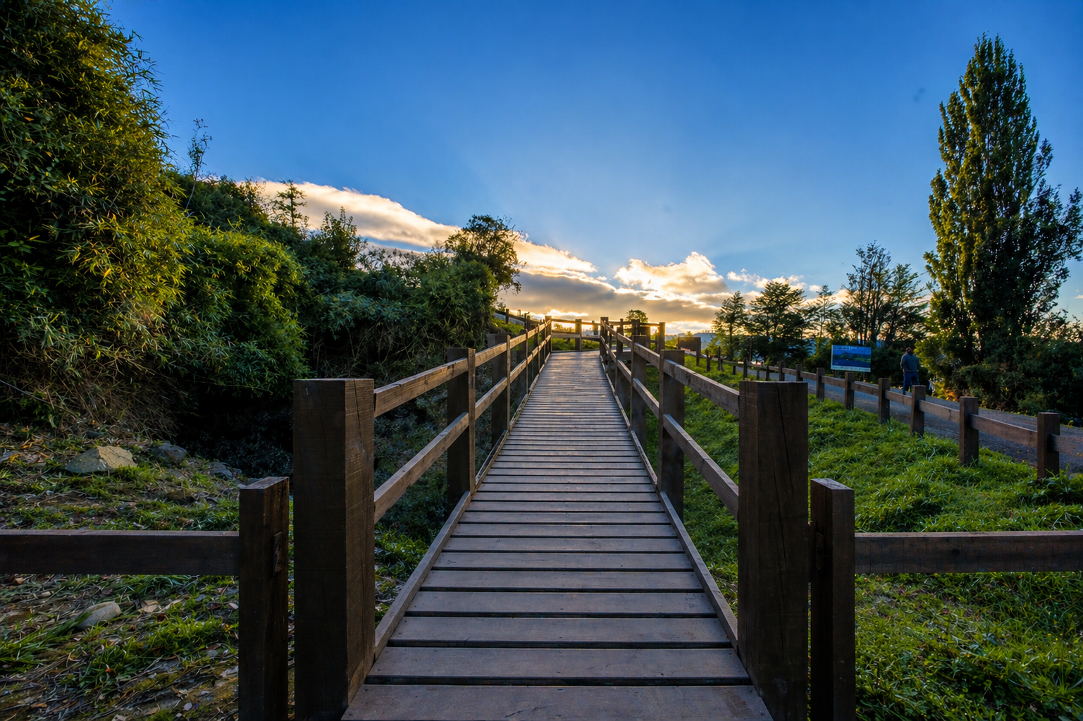 Camino de entrada Vista Rupanco